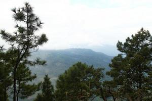 landskap med barr- träd och bergen på en bakgrund i en molnig väder. doi suthep, thailand foto