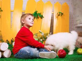 leende liten pojke tre år gammal med vit valp av samojed på de gul staket bakgrund foto