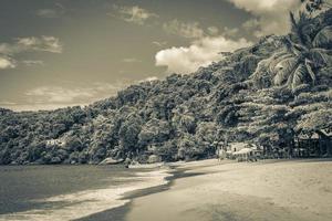 stora tropiska ön ilha grande praia de palmas beach brazil. foto