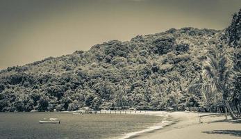 stora tropiska ön ilha grande praia de palmas beach brazil. foto