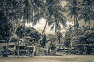 stora tropiska ön ilha grande praia de palmas beach brazil. foto