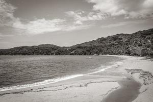 stora tropiska ön ilha grande praia de palmas beach brazil. foto