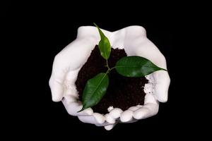 ung små gro för plantering i de jord i de händer, två händer innehav för en ung grön växt, plantering träd, kärlek natur, spara de värld, ekologi, miljö- skydd foto
