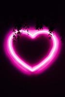 neon rosa hjärta på svart vägg foto