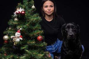 porträtt av en labrador retriever hund med dess ägare, nära de ny år grön träd. foto