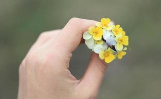 stänga upp gul pansies begrepp Foto