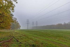 bild av kraft poler i en skog under molnig höst väder foto