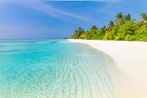 lugn strand landskap. exotisk tropisk strand panorama för bakgrund eller tapet. Fantastisk sommar landskap, lugna hav vatten och handflatan träd under blå himmel och vit sand. semester och Semester begrepp foto