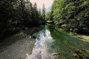 smaragd- grön vatten av de flod sava bohinjka i julian alperna, ukanc, slovenien. foto