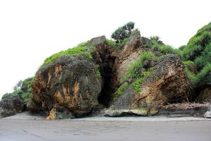korall klippor bevuxen med växter på de strand, parangtrit yogyakarta. foto
