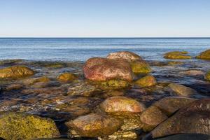 vår visningar från hiiumaa ö foto