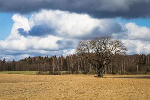 vår landskap med moln foto