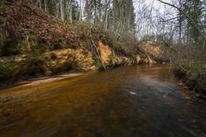 små skog flod i tidigt springtime foto