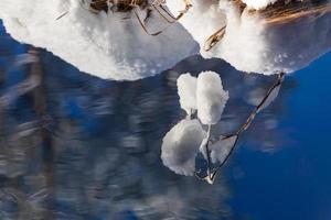 snöig vinter- dag i de träsk foto