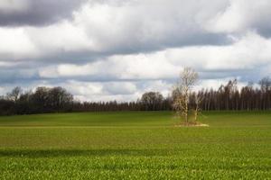 vår landskap med moln foto