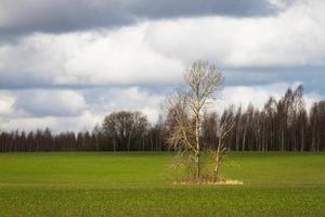 vår landskap med moln foto