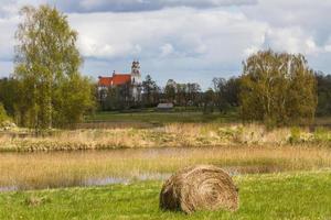 landskap från de lithuanian landsbygden i vår foto