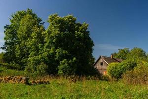 landskap från de lettiska landsbygden i vår foto