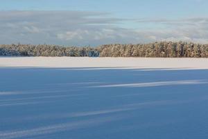 snöig vinter- dag i de träsk foto