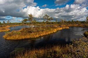 höst dag på de träsk sjö foto