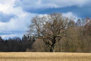 vår landskap med moln foto