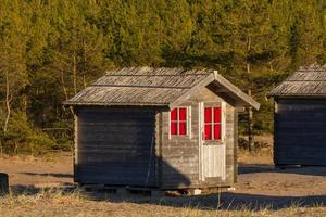 vår visningar från hiiumaa ö foto