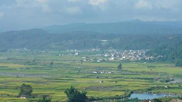 de skörd gul ris fält se belägen i de dal bland de bergen med de molnig himmel som bakgrund foto