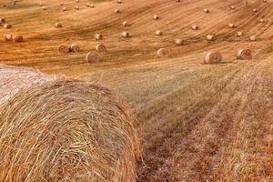 naturskön se av hö balar på en UPPTAGITS vete fält i provence, söder av Frankrike foto