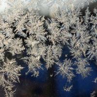 snöflingor frost rimfrost makro på fönster glas Ruta foto