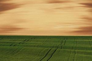 gyllene färgad i moravia. skön natur. lantlig scen foto