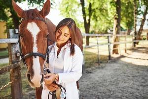 främre se. kvinna veterinär granskning häst utomhus på de bruka på dagtid foto