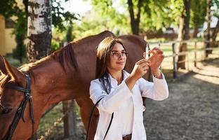 utseende på spruta. kvinna veterinär granskning häst utomhus på de bruka på dagtid foto