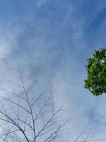 naturlig bakgrund. blå himmel med pösigt moln bakgrund foto