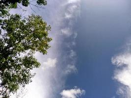 skön se klar blå himmel och massor av naturlig grön träd foto
