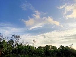 skön se klar blå himmel och massor av naturlig grön träd foto