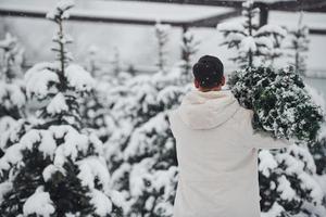 ung stilig man bärande färsk cutted gran träd utomhus foto