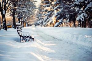 vinterpark i snö foto