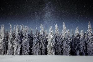 majestätisk landskap med skog på vinter- natt tid med stjärnor i de himmel. landskap bakgrund foto