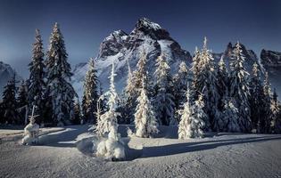 majestätisk landskap med skog på vinter- natt tid. landskap bakgrund foto