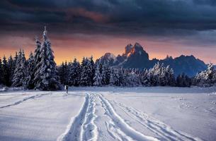 majestätisk landskap med skog på vinter- tid. landskap bakgrund foto