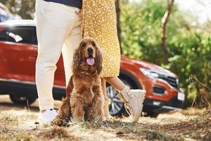 ben av par den där fattande varje Övrig utomhus i de skog mot modern fordon med söt hund foto