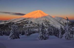 majestätisk petros berg upplyst förbi solljus. magisk vinter- landskap med snö täckt träd på dagtid foto