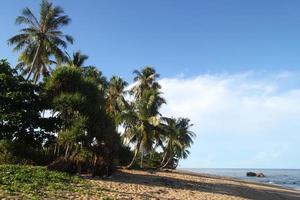 resa till ö koh lanta, thailand. de se på de sand strand med palmer och blå hav. foto