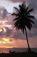 resa till ö koh lanta, thailand. de se på de solnedgång himmel och hav med en palmer träd och båt på de strand. foto