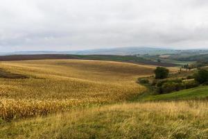 höst landskap i en moraviska fält foto