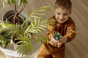 förtjusande, söt pojke omtänksam av inomhus- växter på Hem. en liten hjälpare i de hushåll, fritid aktivitet. Hem trädgårdsarbete begrepp. mysigt rum, jord färger. tillfällig Kläder. foto