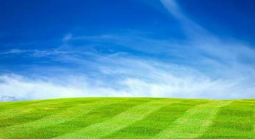 skön gräsmatta, grön fält med blå himmel och moln bakgrund. foto