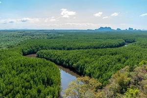 hög vinkel se av de lindning mangrove skog foto