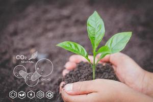 teknologi miljö, hand plantering träd med teknologi av förnybar Resurser till minska förorening esg ikon begrepp i hand för miljö, social och hållbar företag styrning. foto