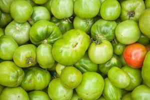 omogen tomater av grön Färg foto
